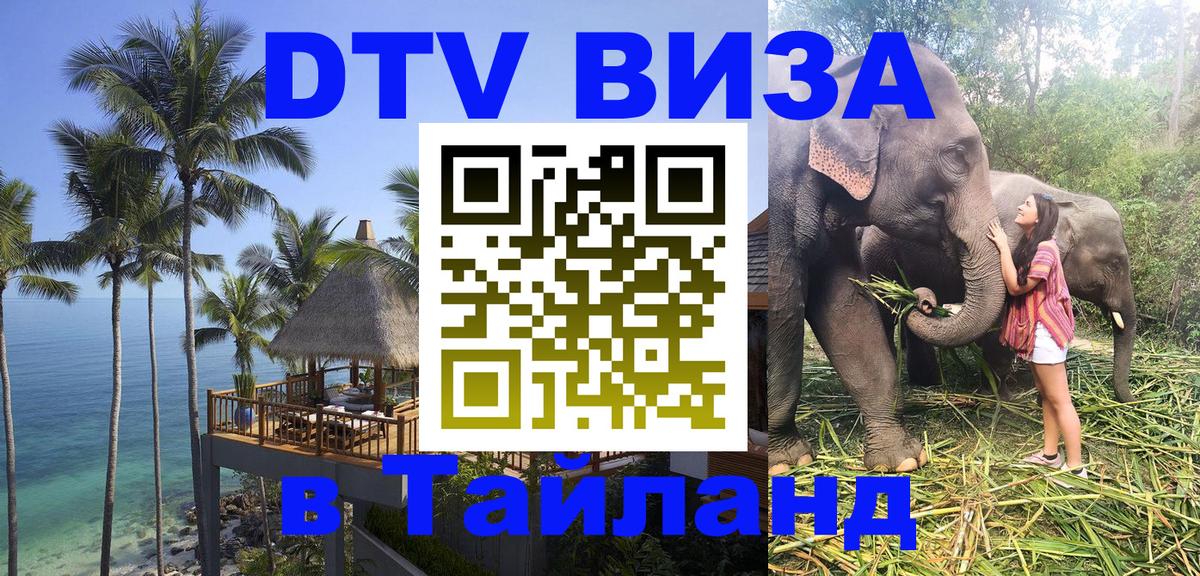 Оформление DTV визы под ключ: стоимость и тарифы, только загранпаспорт - 